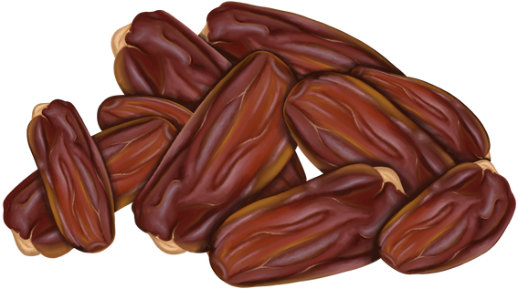 Dates fruit illustration 2